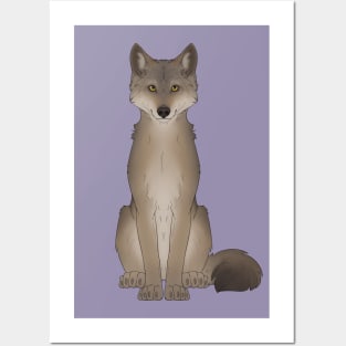 Indian Wolf Posters and Art